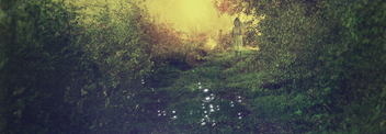 Magical forest I
