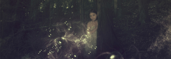 Magical forest II