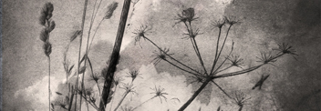 Moment with the wind