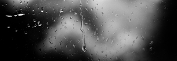 Tears in rain
